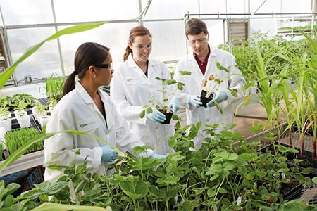2013BAYERCROPSCIENCEDavisCA