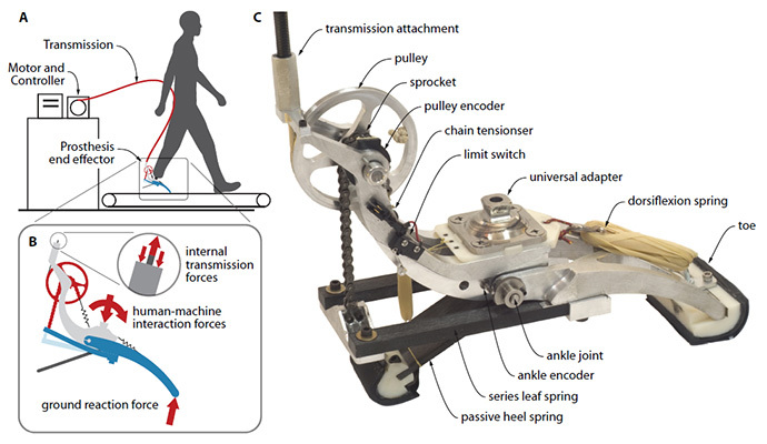 Collins_prosthesis_emulator_schematic