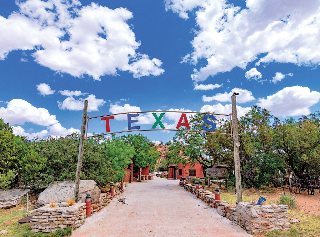 INTELLIGENCE REPORT: TEXAS ECONOMIC DEVELOPMENT CONNECTION