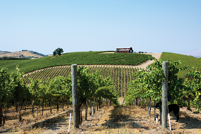 RURAL ECONOMIC DEVELOPMENT