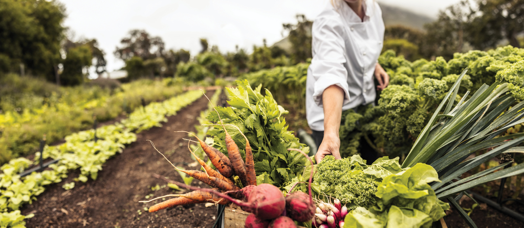 AGRICULTURE, FOOD PRODUCTION & AGTECH