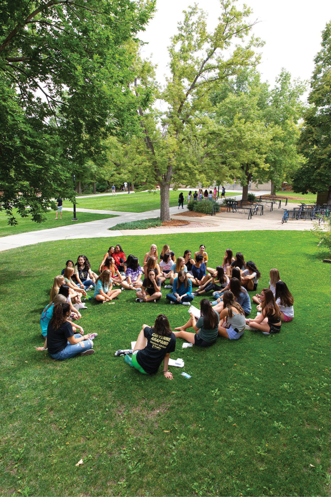 Higher Education