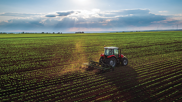 AgRIBUSINESS