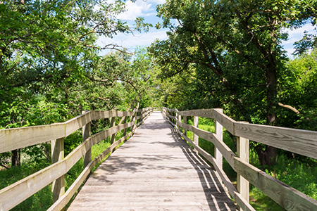 The state ranks eighth in the country for number of state parks and recreational areas. Shown here is the Hitchcock Nature Center at Honey Creek.