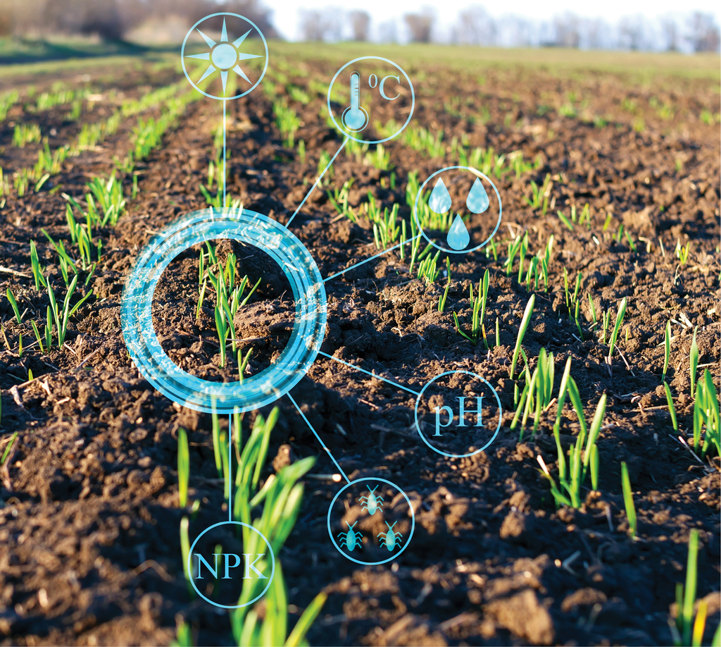 Agriculture