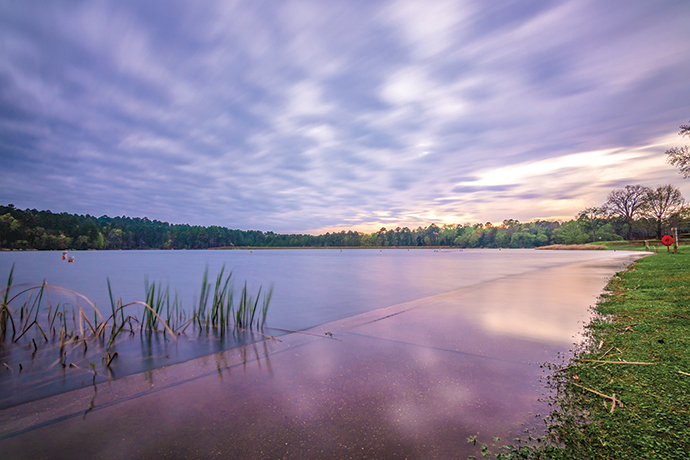 Region Profiles — Upper East Texas