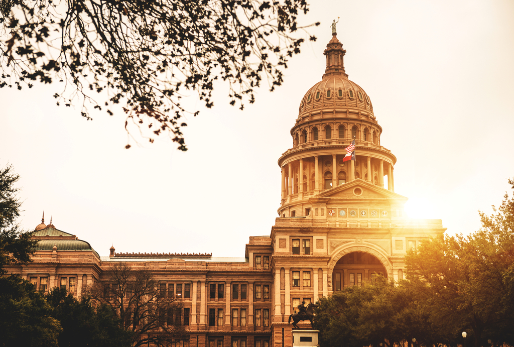 TEXAS ECONOMIC DEVELOPMENT CORPORATION INTERVIEW