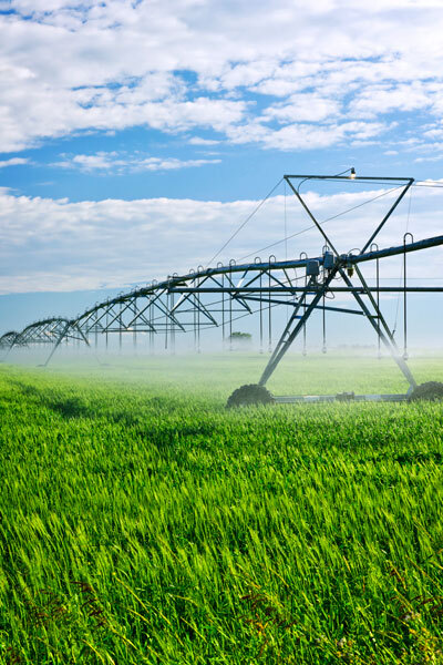irrigation of fields