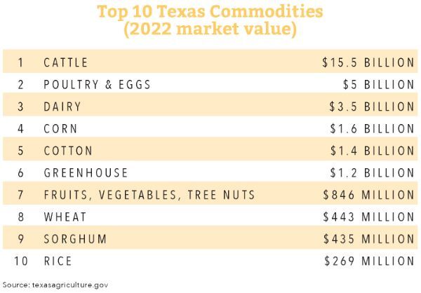 Top 10 Texas Commodities