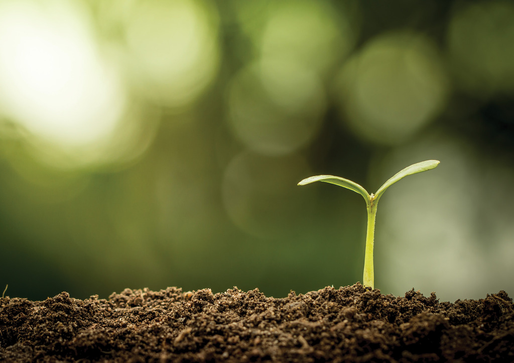 Agriculture and Food Manufacturing