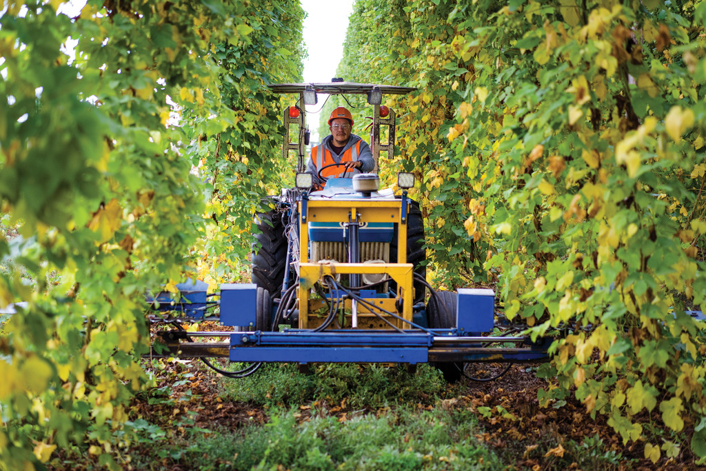 Rural Economic Development