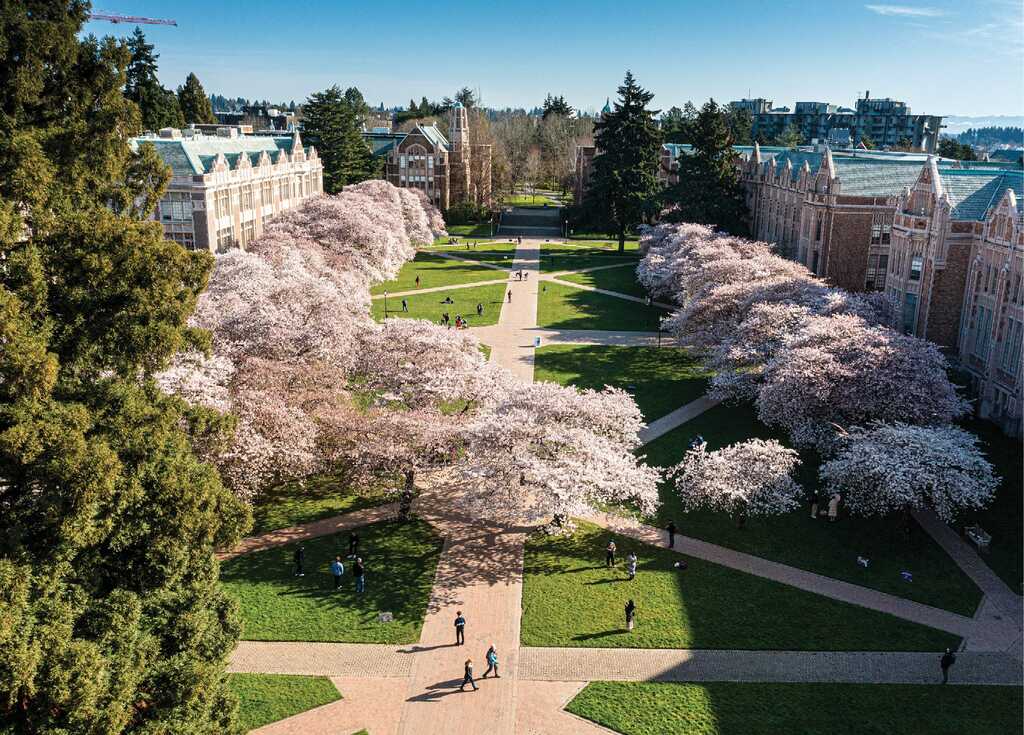 HIGHER EDUCATION