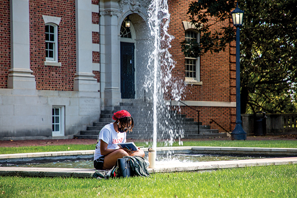 Higher Education