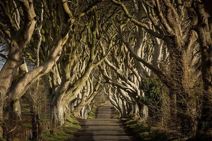 Game of Thrones