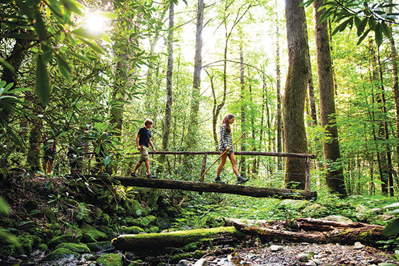 Smoky Mountains
