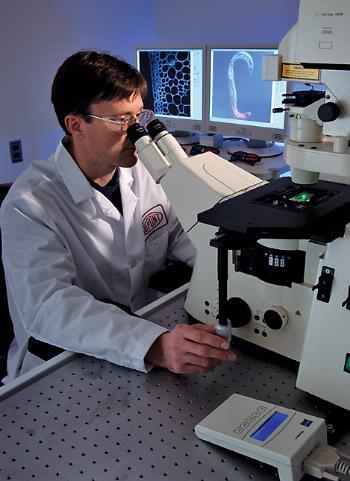 NORTH AMERICAN LIFE SCIENCES