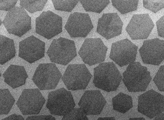 This scanning electron microscope picture shows individual crystal “grains” in an array of a material called graphene. Researchers have developed a method for creating the arrays, an advancement that opens up the possibility of a replacement for silicon in high-performance computers and electronics.