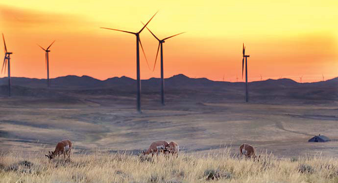 TOP UTILITIES