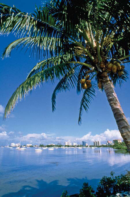 Florida