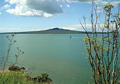 small-Auckland01