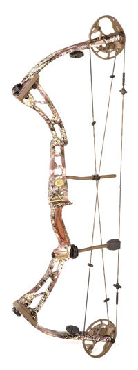 TOGBowAnswer-Max-1