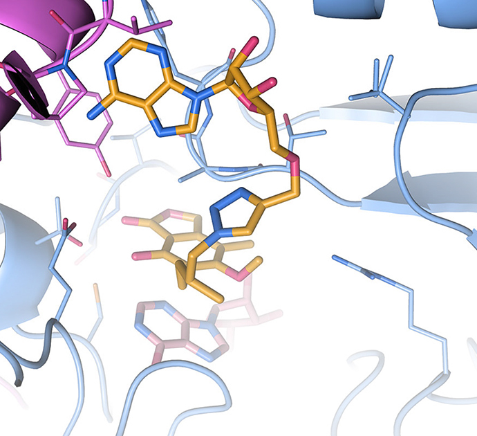 BIOPHARMACEUTICALS