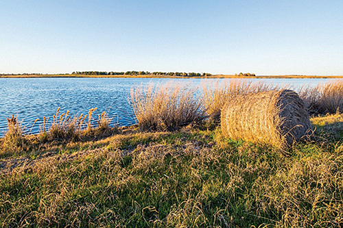 Shadow Lakes