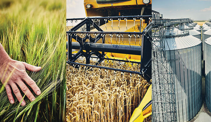 AGRIBUSINESS