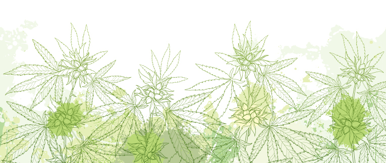 INDUSTRIAL HEMP & CANNABIS