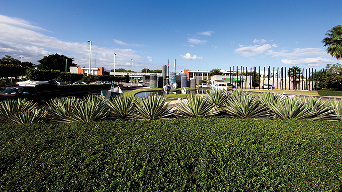 DOMINICAN REPUBLIC FREE TRADE ZONES
