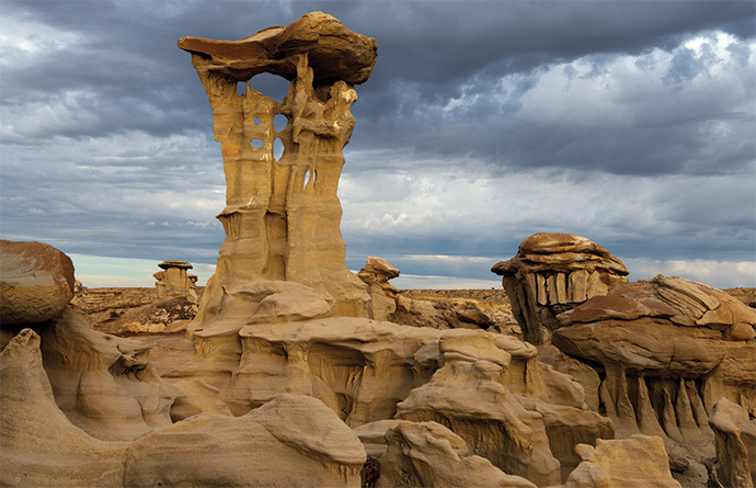 NEW MEXICO