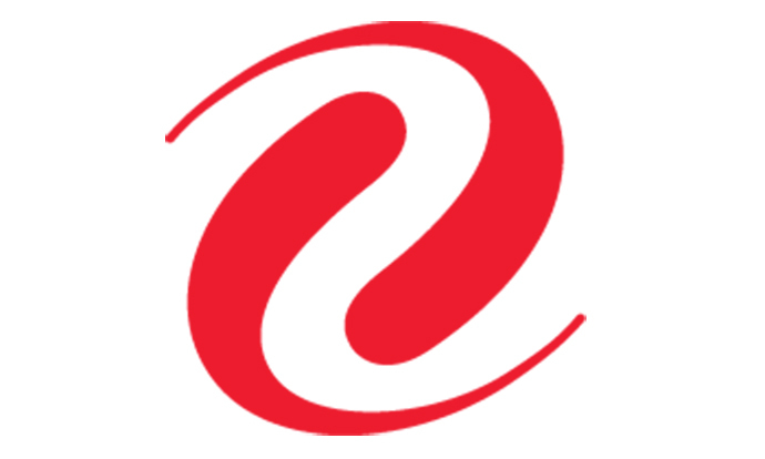 XCEL ENERGY