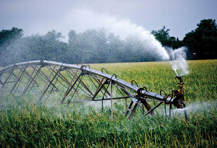 RURAL ADVANTAGE