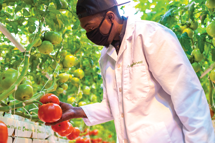 AGRIBUSINESS