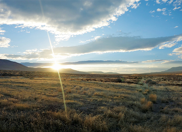 Nevada