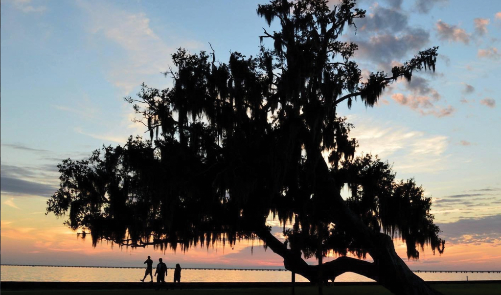 GREATER NEW ORLEANS & ST. TAMMANY PARISH