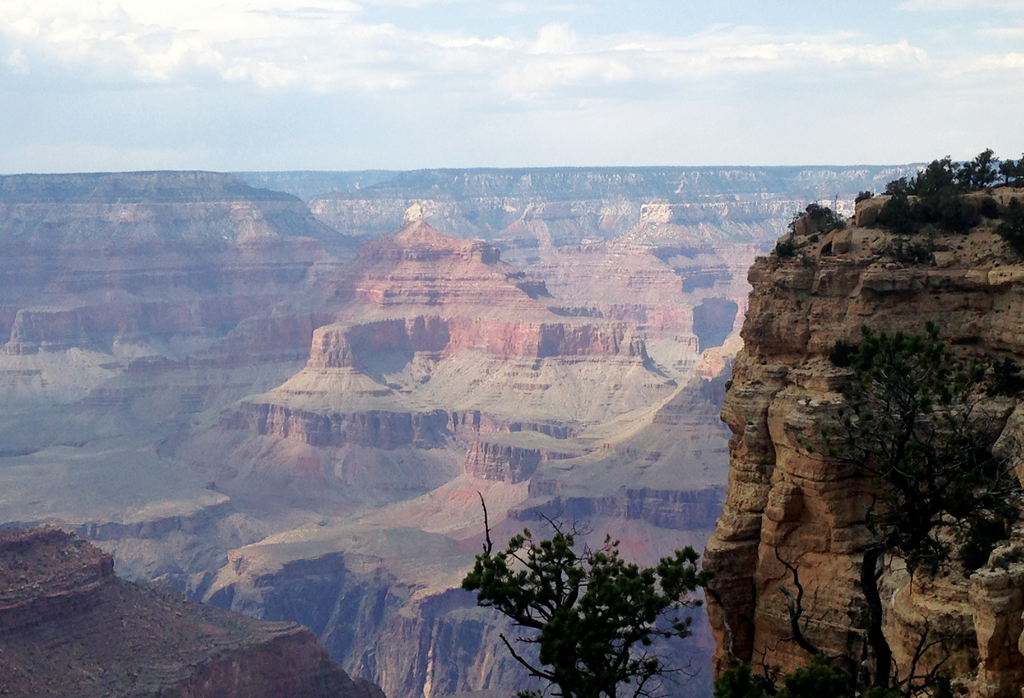 ARIZONA