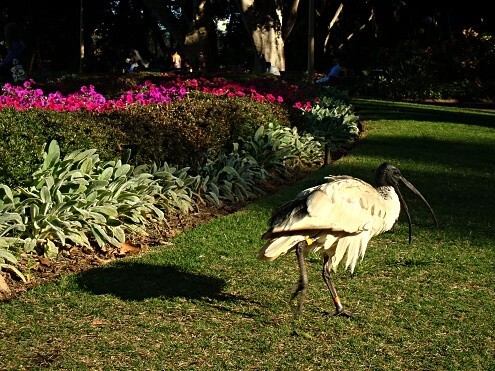 Australia