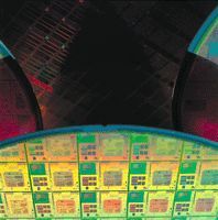 AMD silicon wafer