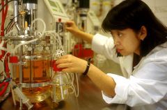 researcher at University of Iowa