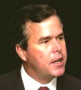 Bush