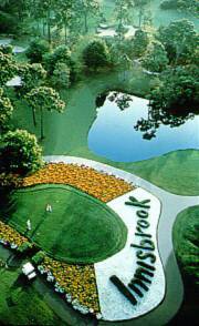 Westin Innisbrook