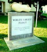 World's Largest Peanut