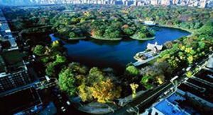 Central Park, New York