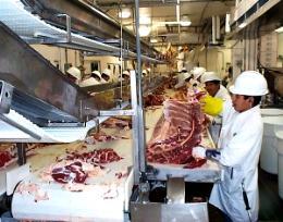 beef fabrication