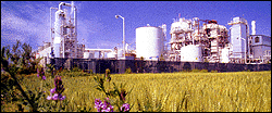 Kings Industrial Park