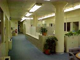 Bayer office space