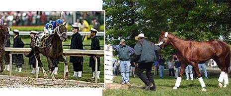 Smarty Jones