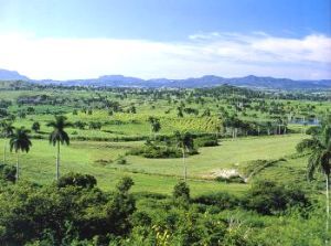Xanadu Plantation, Cuba