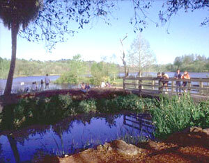 Lake Alice